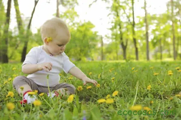 productos naturales para bebes