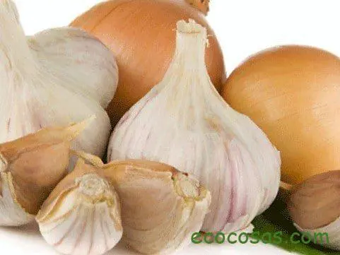 plantas presión arterial