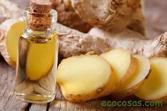 aceite de jengibre casero