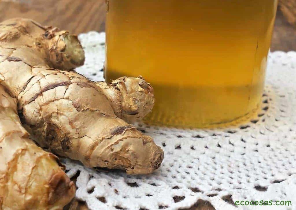 Cómo hacer Ginger Ale casero y natural 1