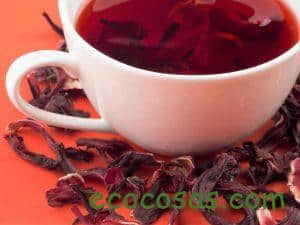 Té de Hibisco
