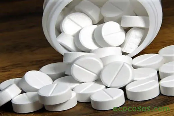 Plantas medicinales que pueden sustituir al parecetamol o al ibuprofeno 1 paracetamol natural