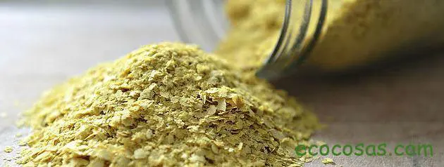 beneficios de la levadura de cerveza