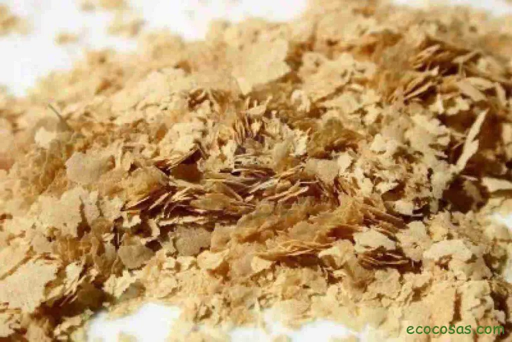 levadura de cerveza propiedades