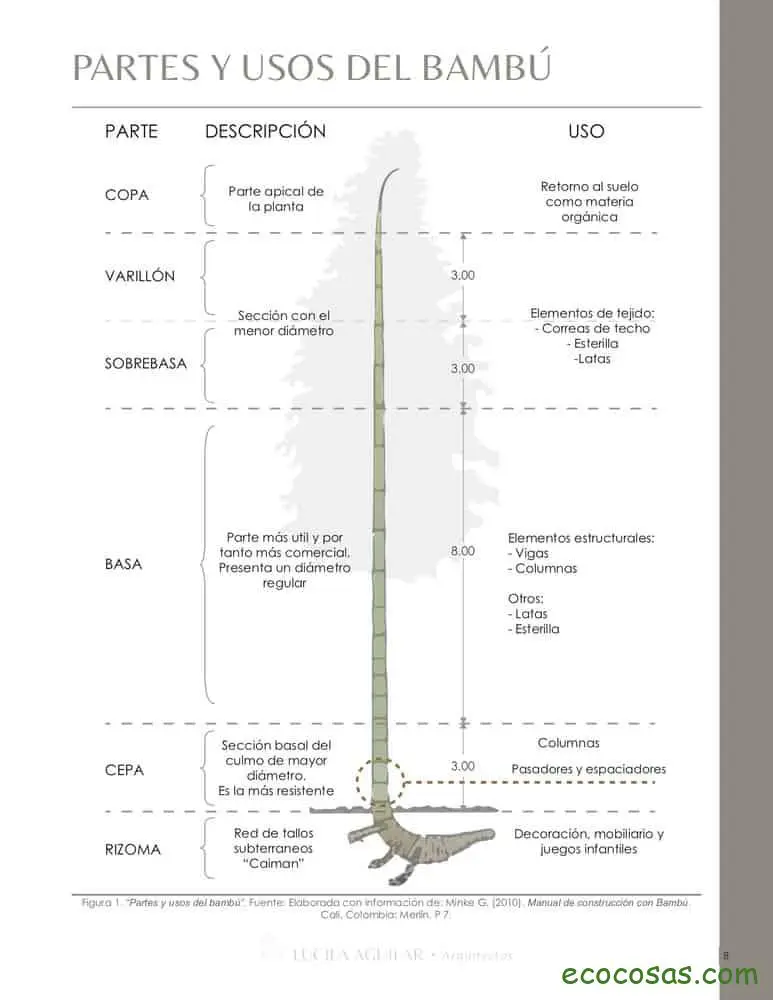 Manual de construcción en Bambú 3