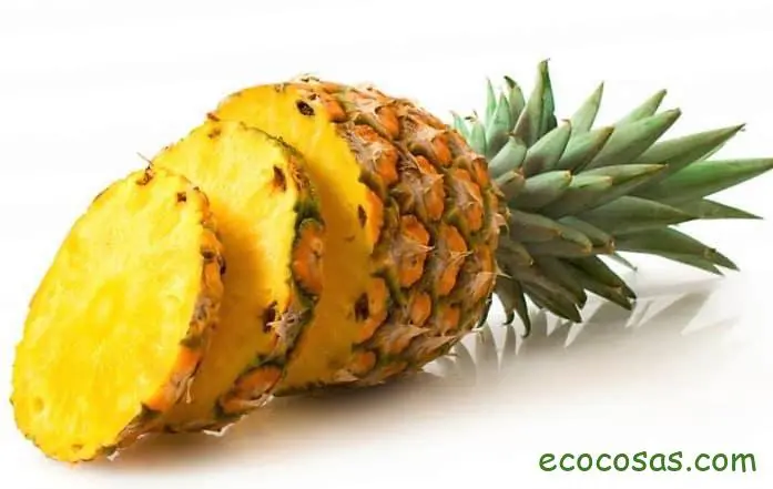 Propiedades de la piña y beneficios para la salud 2 beneficios de la piña