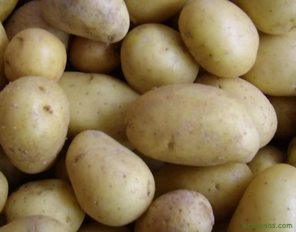 20 usos alternativos a las Patatas 1 usos alternativos patatas, papas