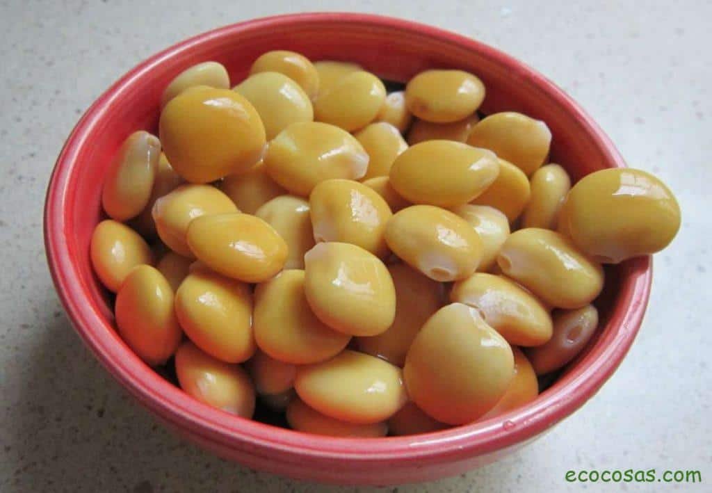 altramuces propiedades