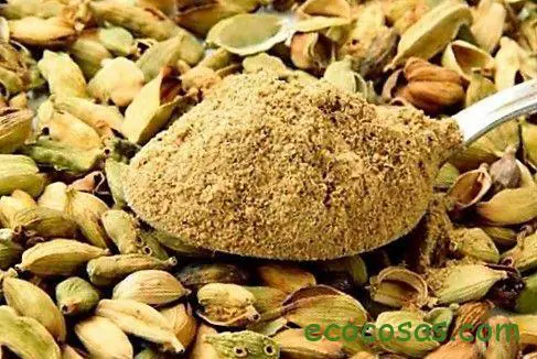 Cardamomo: qué es y para qué sirve. Propiedades y beneficios 1 cardamomo que es