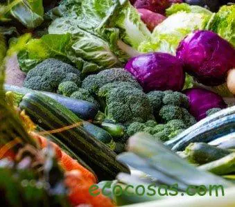dieta alcalina alimentos prohibidos