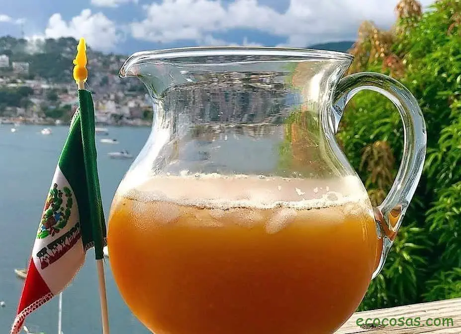 Tepache: Bebida Fermentada con muchos Beneficios 1