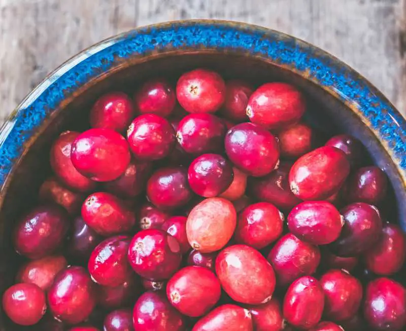 propiedades del arandano rojo