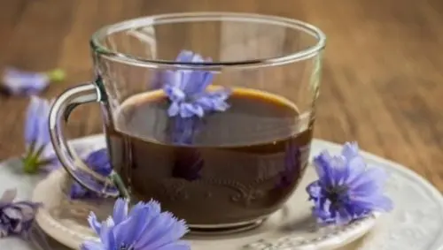 Achicoria. Qué es. Propiedades, para qué sirve y contraindicaciones 2 radicheta