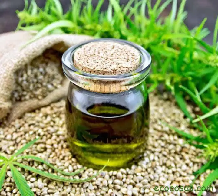 Beneficios para tu salud del Aceite de CBD o Cañamo 2