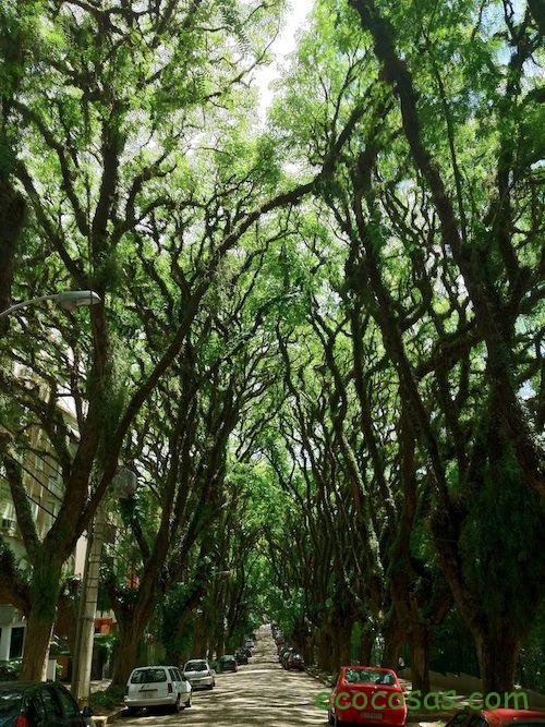 Una calle, cómo deberían ser todas las calles 3