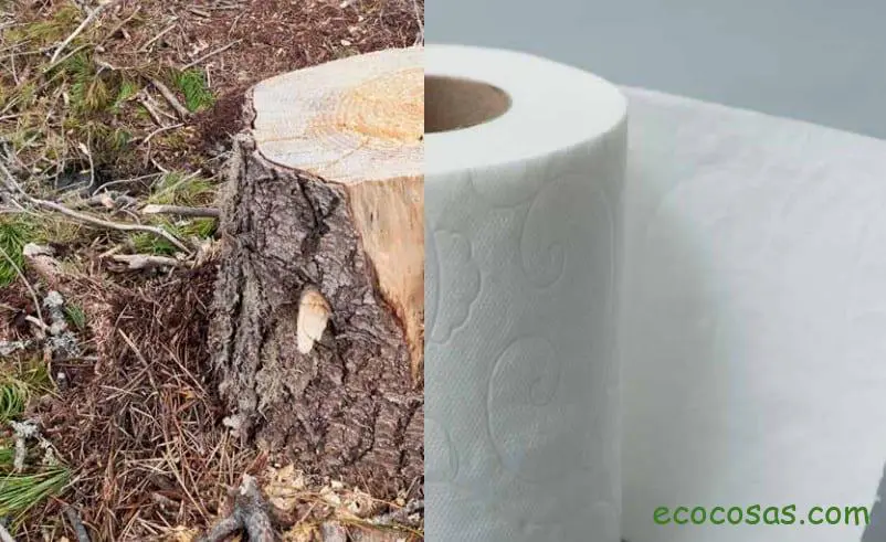 Papel higiénico contamina más que un SUV 1