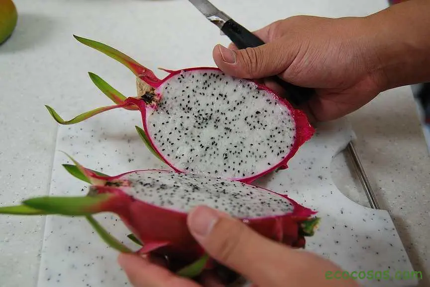 Pitaya. Qué es, propiedades y cómo se come 2 pitaya
