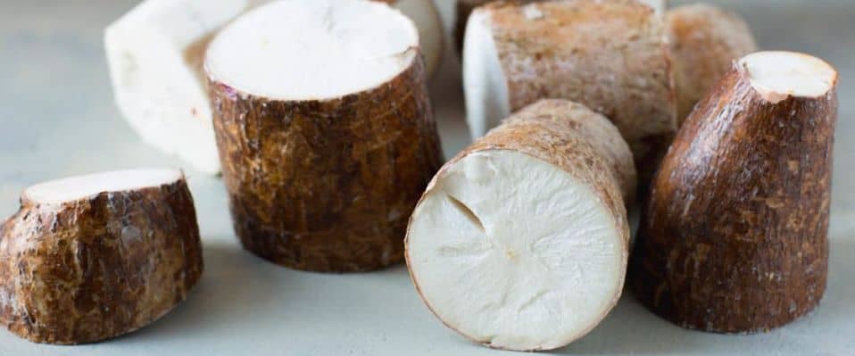 Yuca. Propiedades, beneficios y cómo cocinarla - Ecocosas