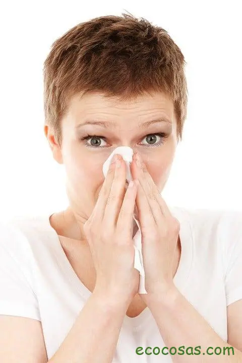 Remedios caseros para la sinusitis 1 sinusitis