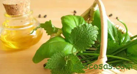 Aceite esencial de albahaca propiedades