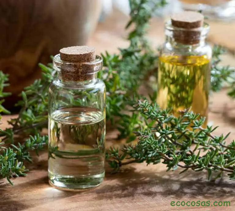 Aceite esencial de tomillo