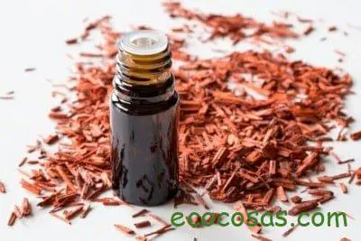 Sandalo propiedades magicas