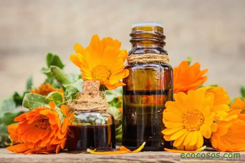 Aceite esencial de árnica, propiedades y usos 1 aceite esencial de arnica usos