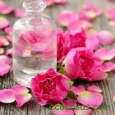 aceite esencial de geranio