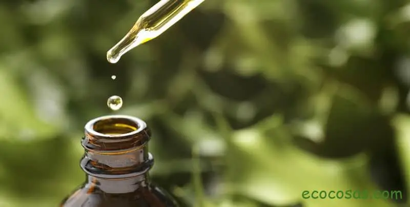 Aceite esencial de bergamota beneficios