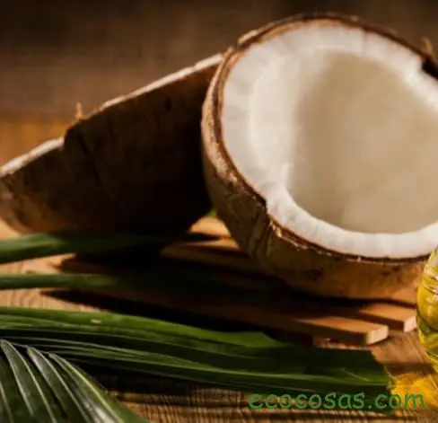 Aceite de coco: propiedades, beneficios, usos y todo lo que debes saber de este superalimento 1