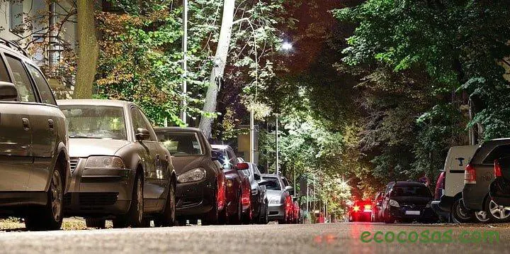 Las ciudades deben pensar en los árboles cómo infraestructura de Salud Pública 1