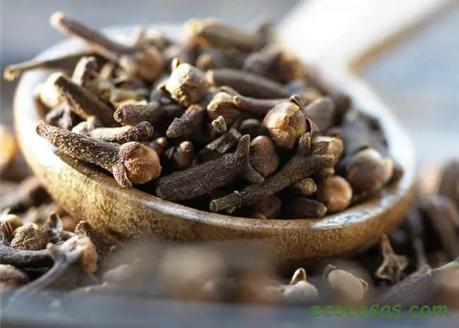 clavo de olor
