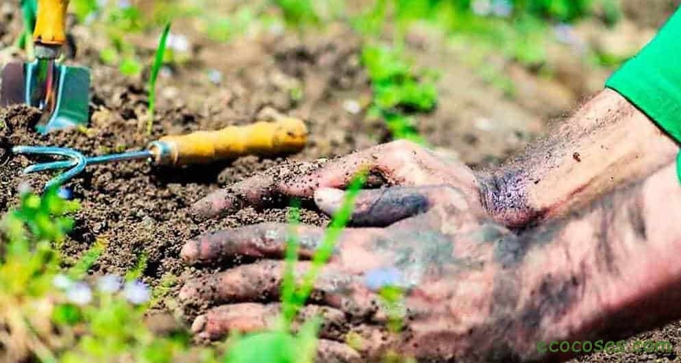 Ecología, Permacultura, Salud Natural, Plantas Medicinales, Como Cultivar, Energías renovables, Bioconstrucción y otros. 1