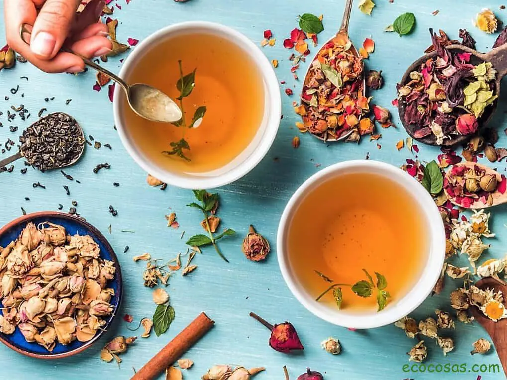 10 infusiones saludables con lo que hay en la despensa 1 10 infusiones saludables con lo que hay en la despensa 1