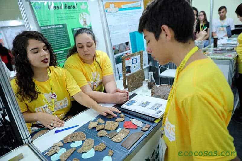 Estudiantes crean madera de Yuca 2