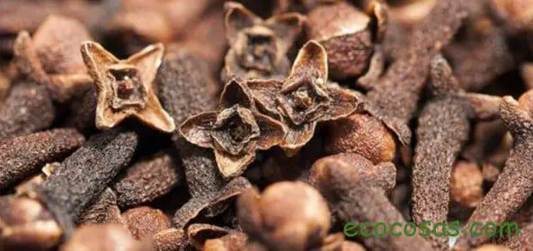 propiedades del clavo de olor