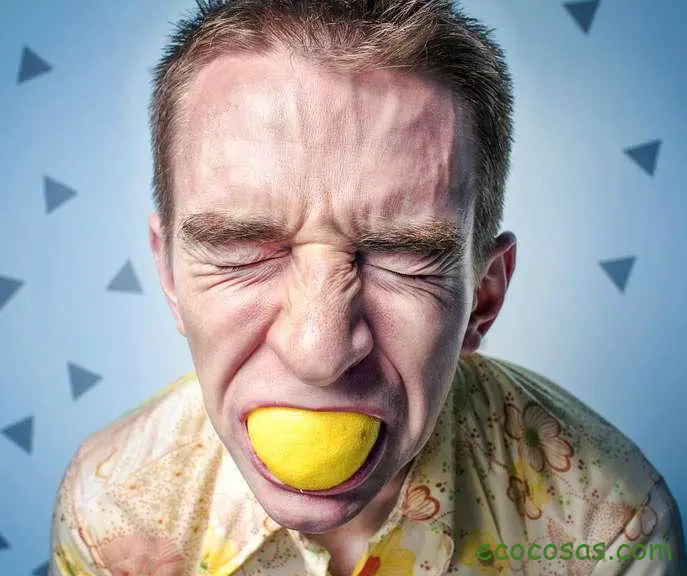 propiedades del limon