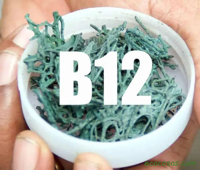 vitamina b12 para que sirve
