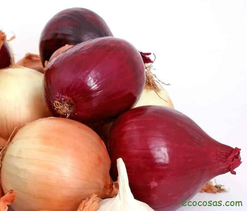 cebolla para el cabello