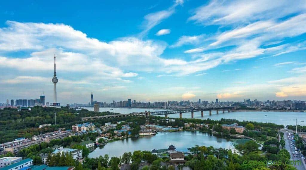 Ecología, Permacultura, Salud Natural, Plantas Medicinales, Como Cultivar, Energías renovables, Bioconstrucción y otros. 8