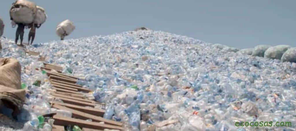 Ecología, Permacultura, Salud Natural, Plantas Medicinales, Como Cultivar, Energías renovables, Bioconstrucción y otros. 3