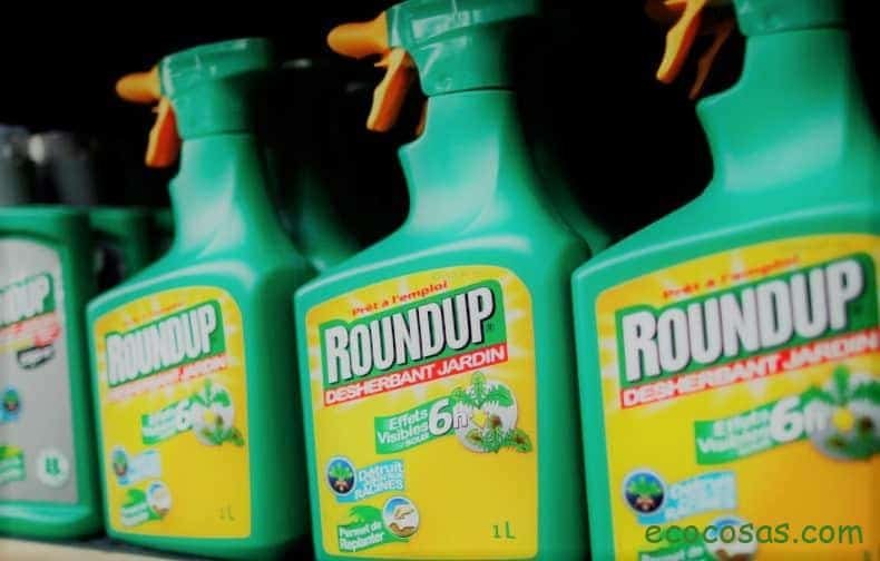 Ecología, Permacultura, Salud Natural, Plantas Medicinales, Como Cultivar, Energías renovables, Bioconstrucción y otros. 5