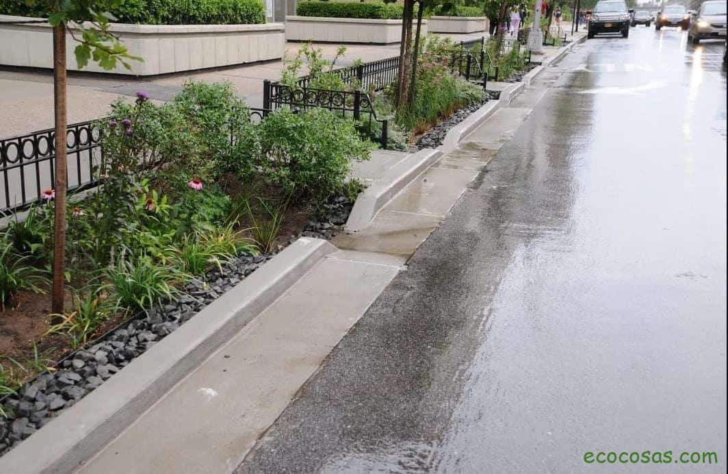 Generalizar Persona continuar Nueva York tendrá más de 9000 jardines de lluvia - Ecocosas