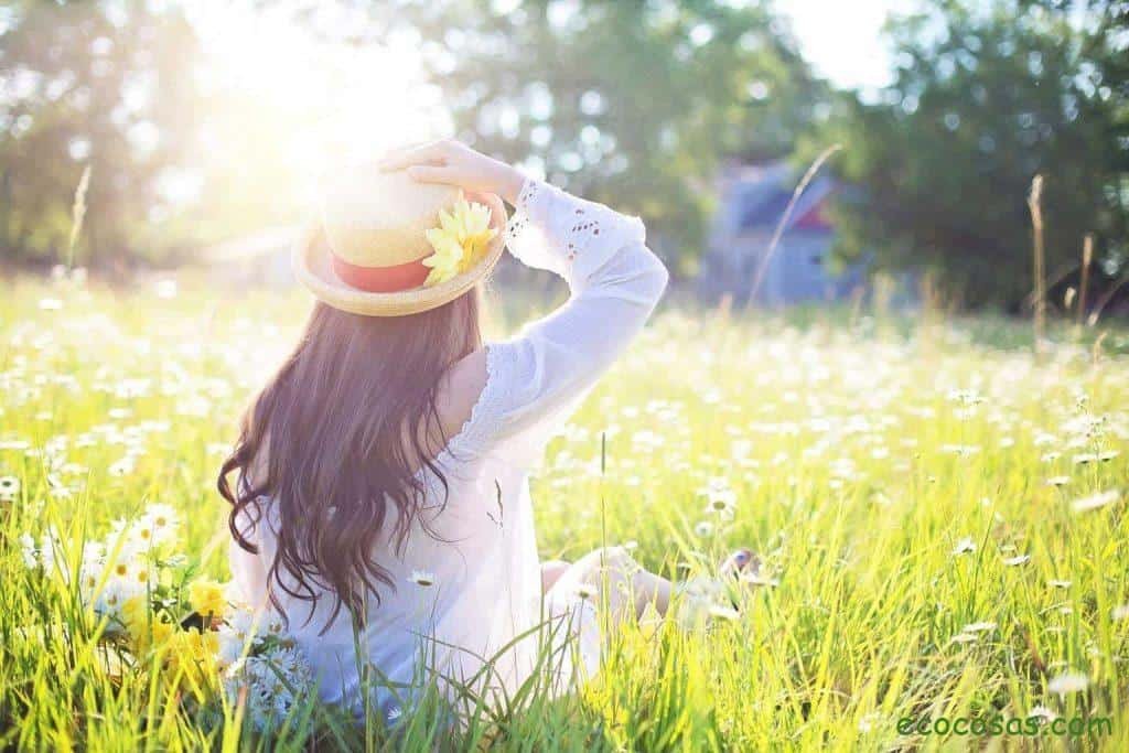 Ecología, Permacultura, Salud Natural, Plantas Medicinales, Como Cultivar, Energías renovables, Bioconstrucción y otros. 7