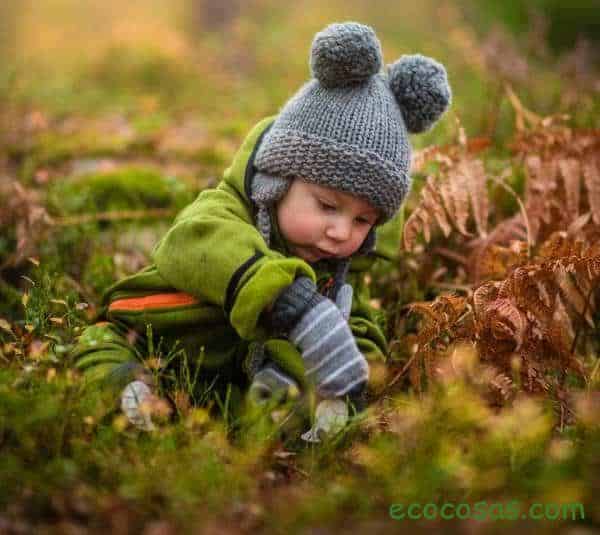 educación ambiental