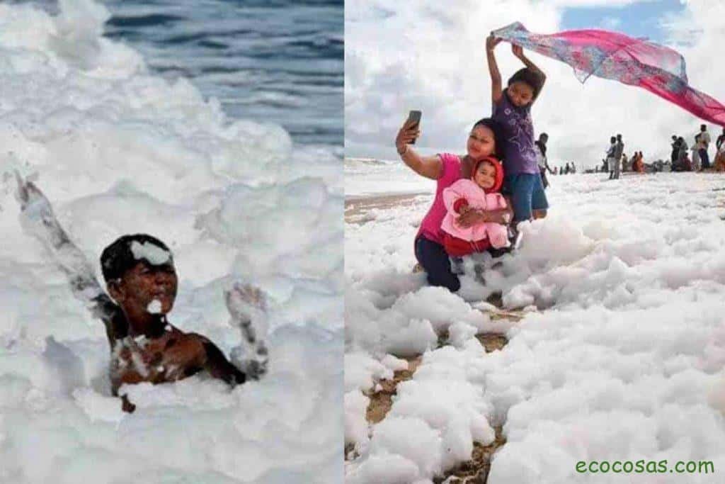 Ecología, Permacultura, Salud Natural, Plantas Medicinales, Como Cultivar, Energías renovables, Bioconstrucción y otros. 5