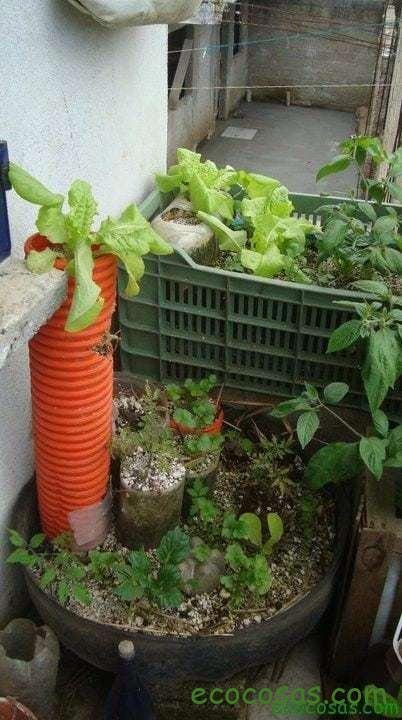 Ecología, Permacultura, Salud Natural, Plantas Medicinales, Como Cultivar, Energías renovables, Bioconstrucción y otros. 3