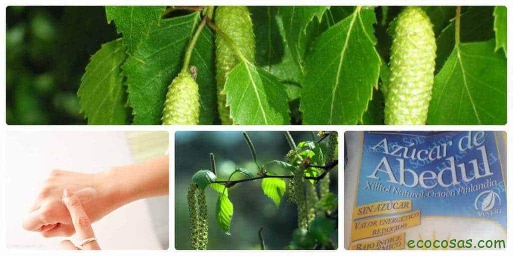 aceite de abedul