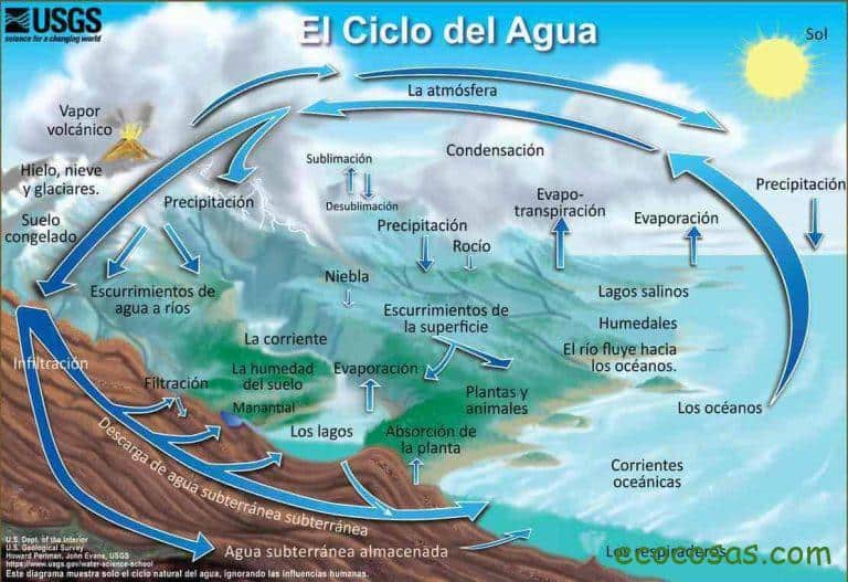 Qué es el ciclo del agua. Sus 7 fases. Esquema y explicación