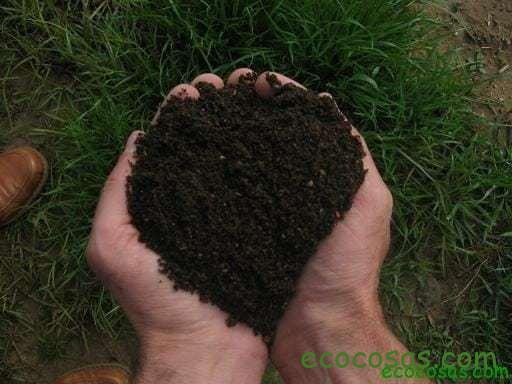 Ecología, Permacultura, Salud Natural, Plantas Medicinales, Como Cultivar, Energías renovables, Bioconstrucción y otros. 2